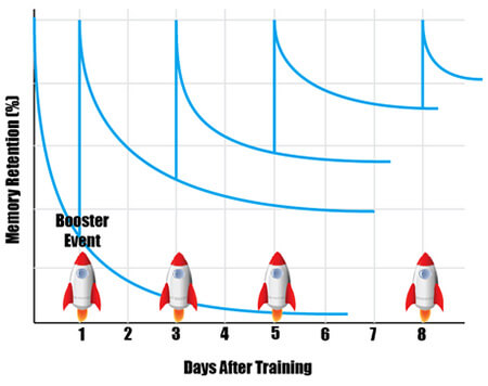復習 効果的な復習方法 復習のタイミング 回数 忘却曲線 ワークデータ Com